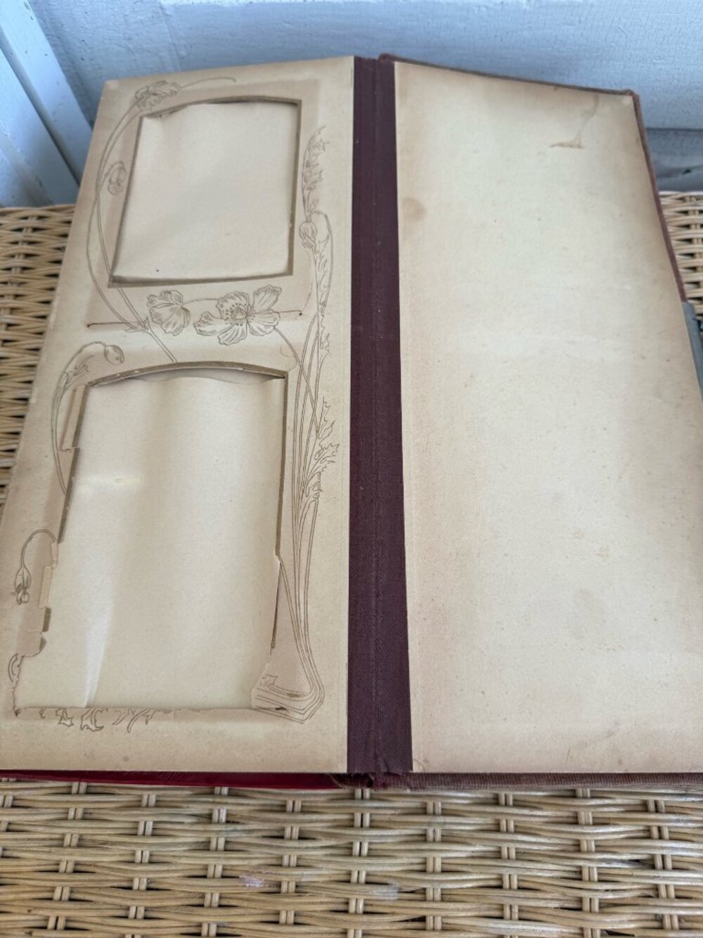 Antique 1880s Red Celluloid Velvet Photo cabinet Album - Picture 10 of 12